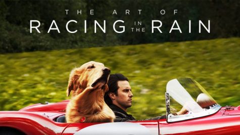 Mini Review: The Art of Racing in the Rain