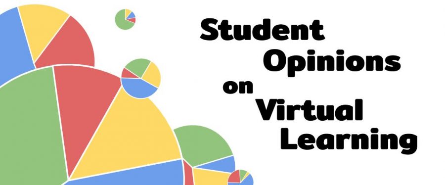 Student opinion on virtual learning varies