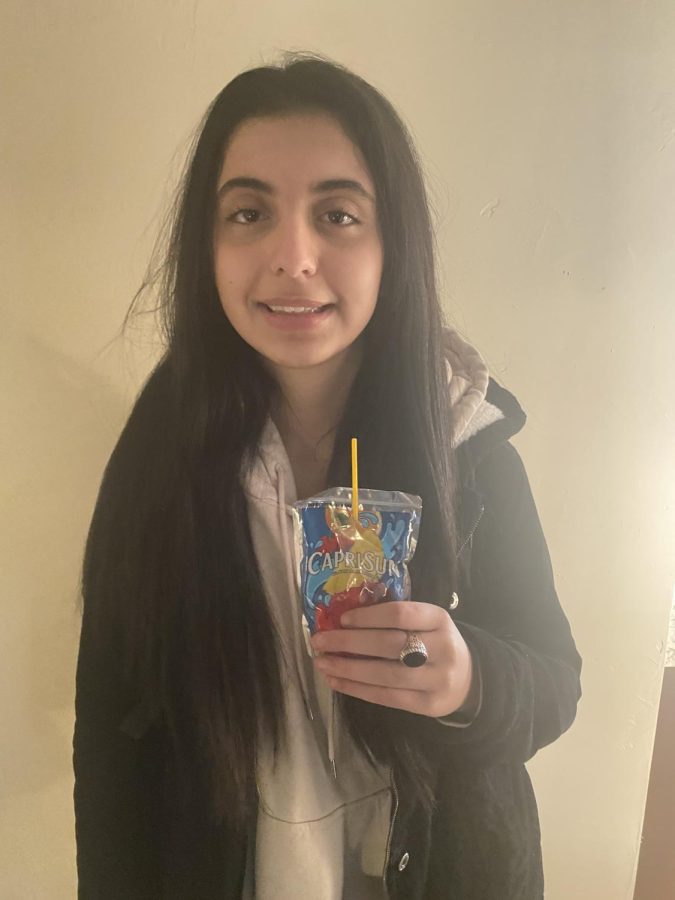 Areena Sorani