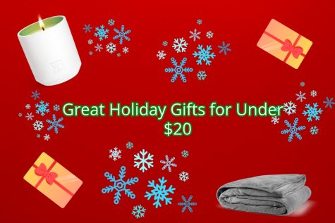 Great holiday gift ideas for under $20