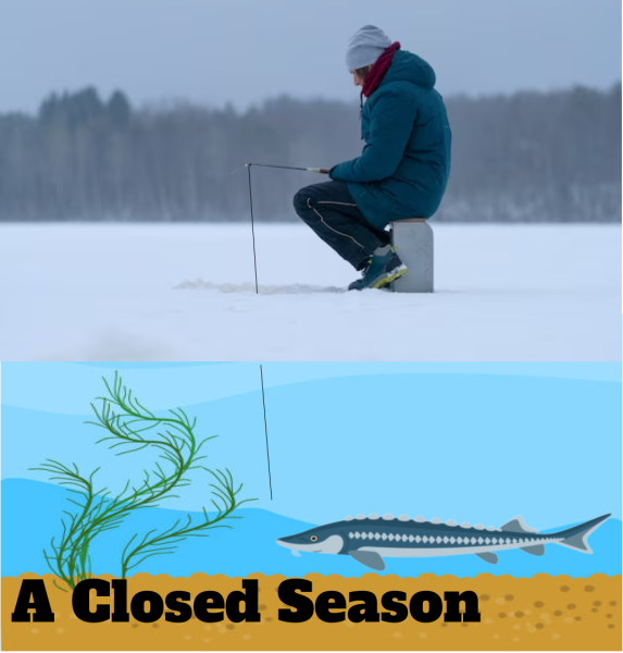 A closed season