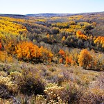 "Fall Foliage Steens Mountain" by BLM Oregon & Washington is licensed under CC BY-SA 2.0.